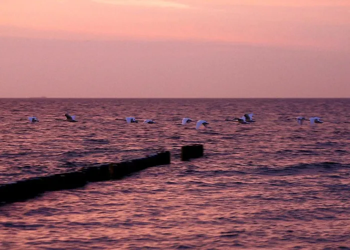 Appartement Am Dorfrand Wieck